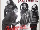 Bad Brains ?– Quickness  Caroline Records ?CARLP4  Virgin Promoblatt promo sheet