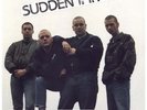 SUDDEN IMPACT - STORM LP ORIGINAL ROCK O RAMA REBELLES Oi PUNK LIKE NEW