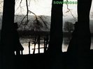 CLUSTER - SOWIESOSO NEW VINYL