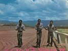 Pioneers-Long Shot (1LP) (UK IMPORT) VINYL NEW
