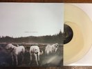 Foxing - Albatross - LP Vinyl Colored White Cloudy Clear 2014 TCR 03177 Indie