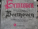 TCHAIKOVSKY QUARTET FEAT. YULIAN SITKOVETSKY: BEETHOVEN VINYL LP *RARE USSR MK*