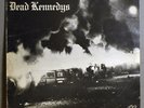 Dead Kennedys ?– Fresh Fruit For Rotting Vegetables w/poster Cherry Red VG ++lp