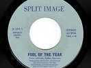 SWEET SOUL BALLAD-SPLIT IMAGE-SPLIT IMAGE-555-FOOL OF THE YEAR