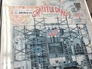 Grateful Dead Playing In The Band Vinyl Black Friday rsd 2018 In Hand Sold Out