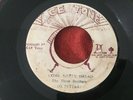 THE THREE BROTHERS/COME NATTY DREAD ROOTS REGGAE RARE 45
