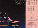 HIPPO CAMPUS-BAMBI (MIDWINTER) VINYL LP NEW