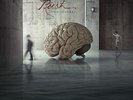 RUSH 