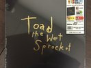 Toad The Wet Sprocket - 