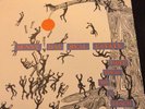 Sunny Day Real Estate - Thief,Steal Me A Peach Jeremy Enigk 7