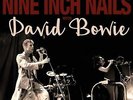 Back In Anger: 1995 Radio Transmissions - Nine Inch Nails With David Bowie Vinyl
