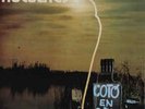 COTO EN PEL - HOLOCAUST . VINILO COLECCIONISMO