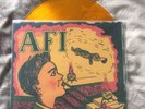 Ltd AFI Gold Lp, Sick Of It All, Ignite, Ensign, Good Riddance