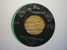 northern soul e j & echoes your gonna hurt diamond jim detroit 45 usa