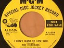 SOUL 45  THE CHARADES I DON'T WANT TO LOSE YOU  MGM PROMO RARE GREAT EX-