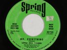 Northern Soul 45 - Little Eva Harris - Mr. Everything - Spring - mp3