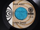 Erkin Koray ?– Cümbür Cemaat / Sevdi?im 7