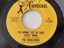 The Reddlemen - I’m Gonna Get In That Girl’s Mind 1966 Texas Garage Punk 45 VG++