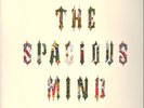 The Spacious Mind Garden Of A Well Fed Head DIE CUT SLEEVE NEAR MINT Vinyl LP