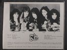 SIN: On The Run 12 (shaped pic disc w/ insert) rare Metal