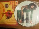 Kate Bush The Kick Inside RARE Limited Edition Picture Disc UK EMCP 3223 NICE