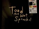 Toad The Wet Sprocket 5LP Box Set [Vinyl New] #/1500 Ltd Color Fear Dulcinea RSD