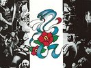 ROSE TATTOO - ROSE TATTOO 180GR VINYL MASTERED , GATEFOLD SLEEVE  VINYL LP NEU