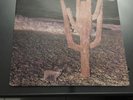 Vinyle 33t Ultra rare Indian Summer neon rca 1st original UK