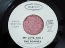 NM THE POPPIES NORTHERN SOUL PROMO 45 MY LOVE AND I / THERE'S A PAIN IN MY HEART