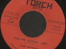 1965 Texas Rock, RARE The Barons w/J. Nitzinger TORCH 101, 45 