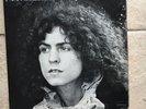 Tyrannosaurus Rex. Beard Of Stars