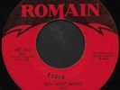 Rare 60's USA Psych Garage 45 - THE BOUNTY HUNTERS (Romain) EX