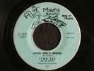 Lynn Dee & The Statics, Mantis 101, Little Girl's Dream & Sunday Kind Of Love