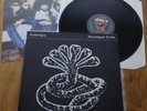 Turbonegro - Apocalypse Dudes - LP / Vinyl / Album - 2002 - rare - TOP