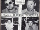 THE BLOOD Stark Raving Normal 7