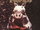 Primus: Pork Soda (2LPs: 180GV)