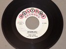 DICK DALE, DEL-TONES Miserlou/Eight Till Midnight 1962 Deltone og surf instro 45