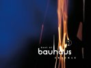 BAUHAUS - CRACKLE-COLOURED VINYL RUBY VINYL 2 VINYL LP NEW