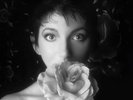 KATE BUSH - REMASTERED IN VINYL II  3 VINYL LP NEW