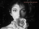 KATE BUSH - THE SENSUAL WORLD (2018 REMASTER) 180 GR.  VINYL LP NEW+