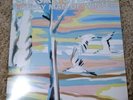 Sufjan Stevens Lonely Man of Winter Vinyl Record Green Variant Asthmatic Kitty