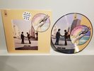 PINK FLOYD WISH YOU WERE HERE 12