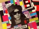 SIGNED-PRIMAL SCREAM-LP PICTURE DISC-CHAOSMOSIS +CD-AUTOGRAPHED-MINT/UNPLAYED