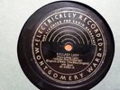 MONTGOMERY WARD 78 RECORD/BINGHAM & WELLS/LULLABY LADY/LITTLE BOX OF PINE ON 729
