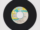 SNOW BIRD/ LAND OF THE LIVING - BARRY BROWN (86 KILLER DIGI ROOTS 7