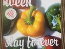 Ween   Stay Forever b/w Who Dat? Red Vinyl 7” 45