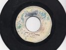 Roots Reggae Dub 45 The Messiahs - Confusion in a Babylon on Moses HEAR