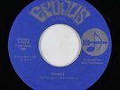 Hard Rock Psych 45 - Strongbow - Change - Epodus - VG+ mp3 - obscure