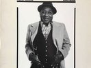 Muddy Waters - Hard Again (LP, Album) Vinyl Schallplatte - 158433