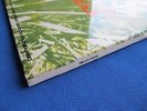 JETHRO TULL * THIS WAS * STUNNING 1968 UK MONO LP * AMAZING CONDITION